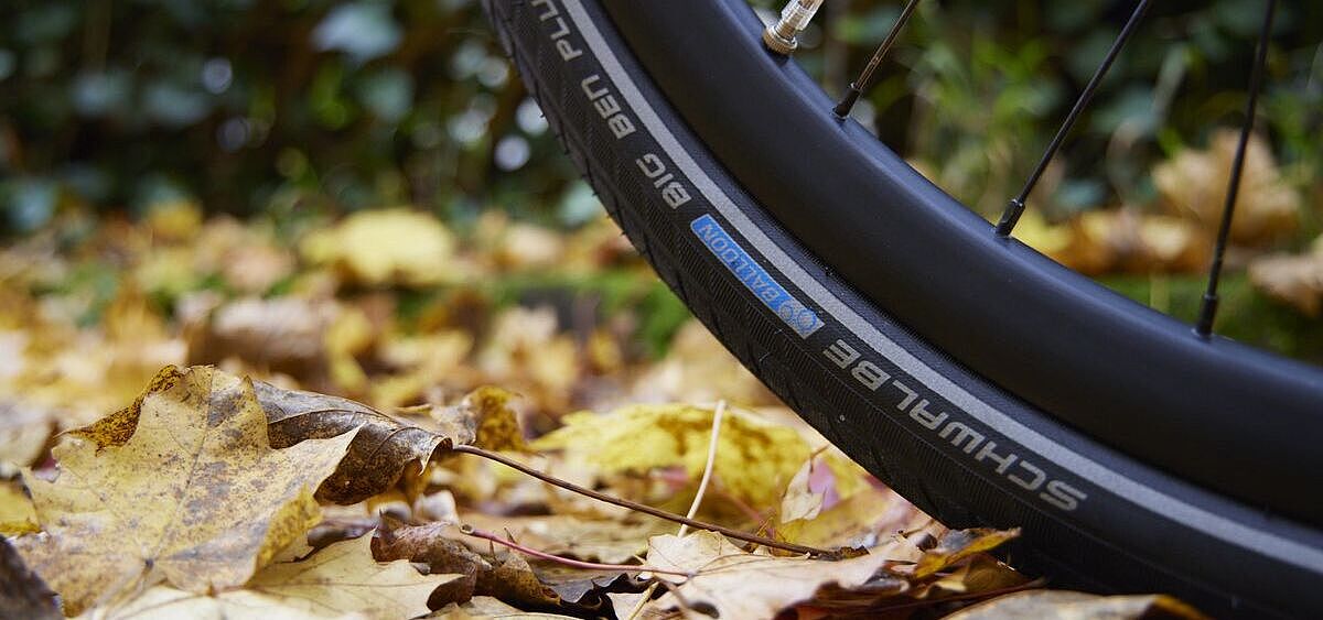 Laub auf der Fahrbahn Großaufnahme eines Fahrradreifens, der auf Laub steht.